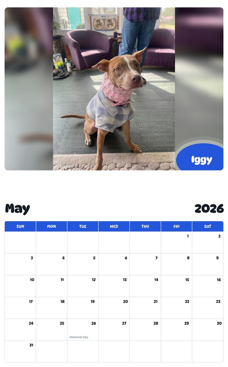 2026 - 2027 Iggy - Pawidols Pet Calendar