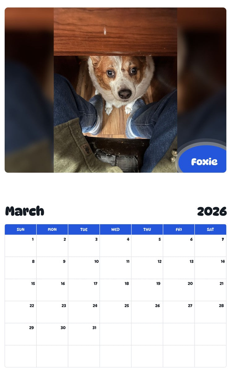 November 2025 - October 2026 Foxie - Pawidols Pet Calendar
