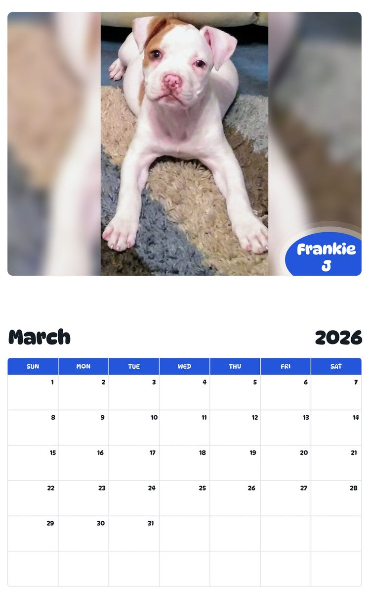 November 2025 - October 2026 Frankie J - Pawidols Pet Calendar