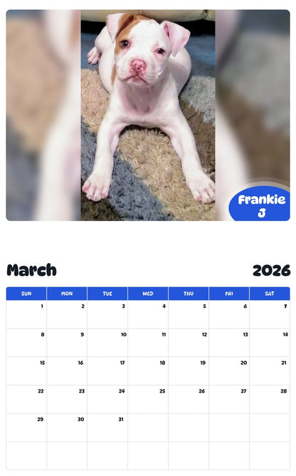November 2025 - October 2026 Frankie J - Pawidols Pet Calendar