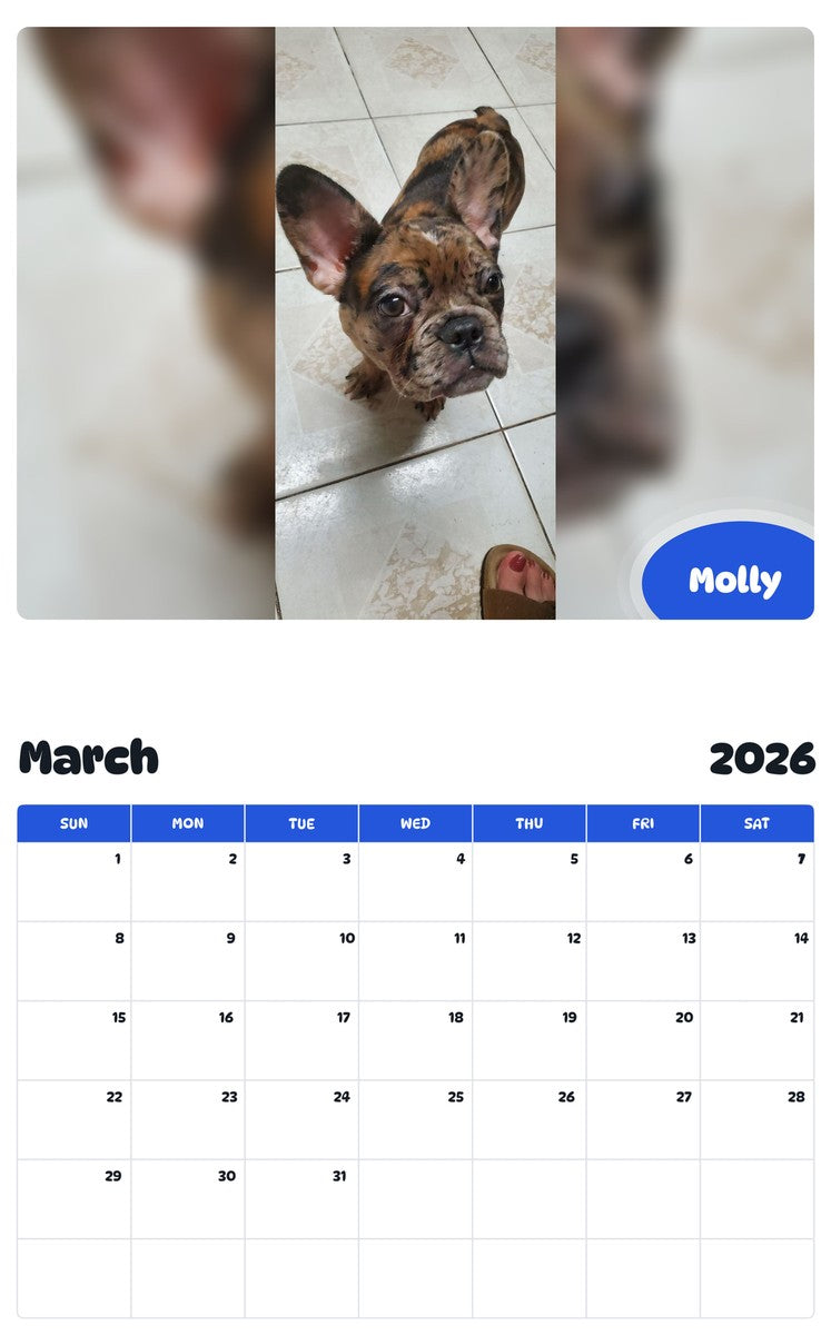 November 2025 - October 2026 Molly - Pawidols Pet Calendar