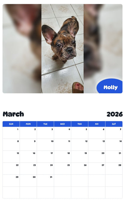 November 2025 - October 2026 Molly - Pawidols Pet Calendar