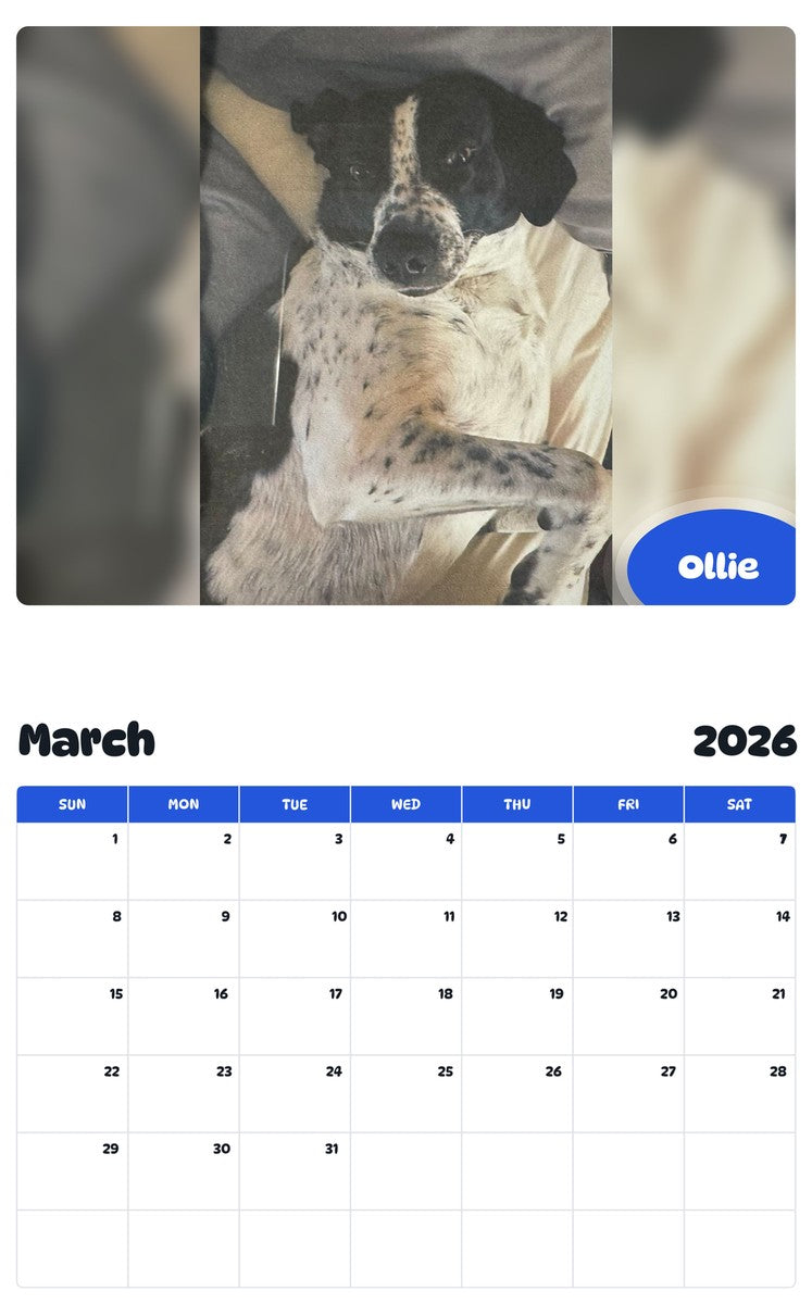 November 2025 - October 2026 Ollie - Pawidols Pet Calendar