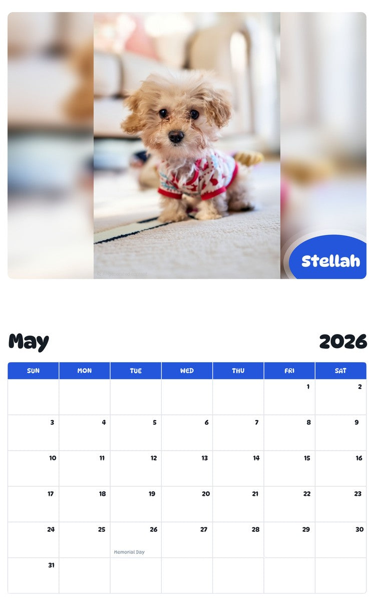 2026 - 2027 Stellah - Pawidols Pet Calendar