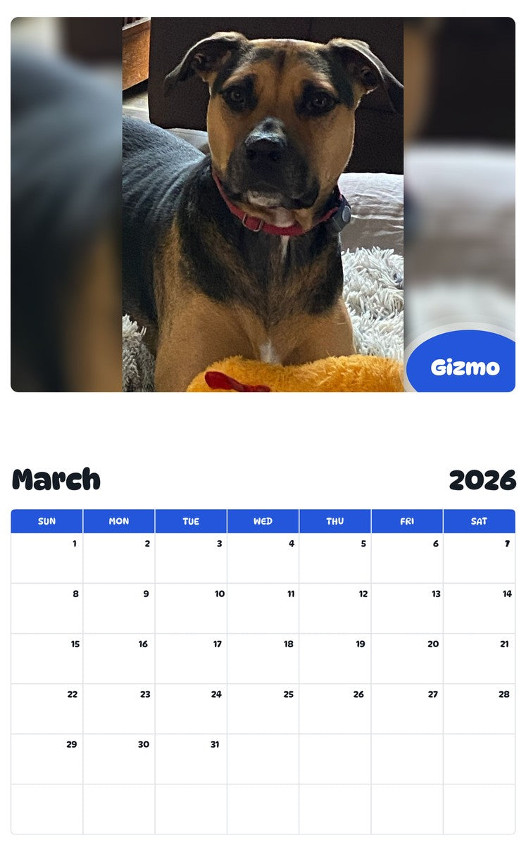 November 2025 - October 2026 Gizmo - Pawidols Pet Calendar