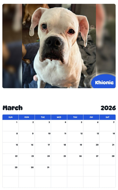November 2025 - October 2026 Khionie - Pawidols Pet Calendar