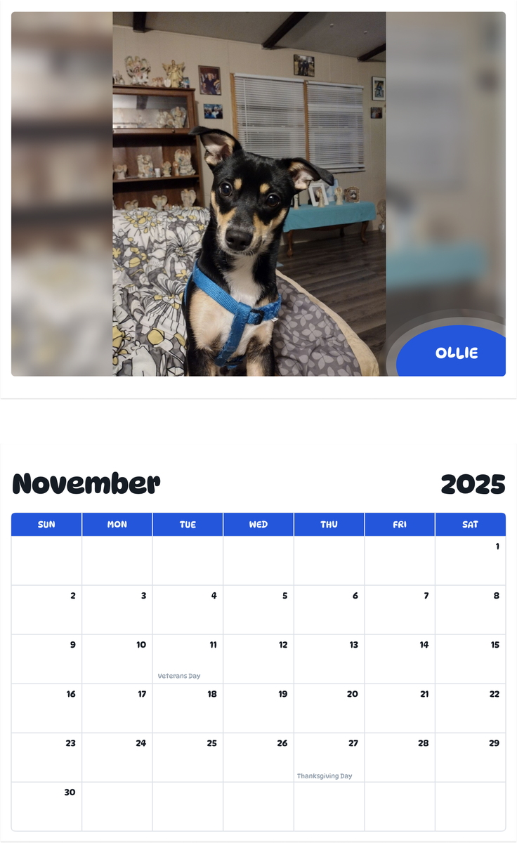 July 2025 - June 2026 Ollie - Pawidols Pet Calendar