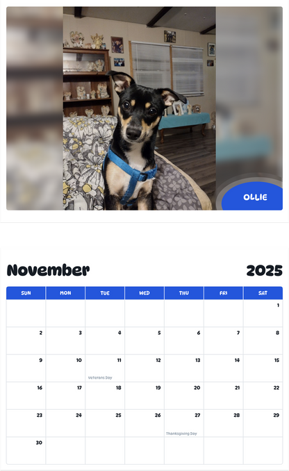 July 2025 - June 2026 Ollie - Pawidols Pet Calendar
