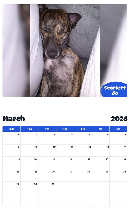 November 2025 - October 2026 Scarlett Jo - Pawidols Pet Calendar