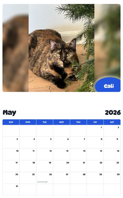 2026 - 2027 Cali - Pawidols Pet Calendar