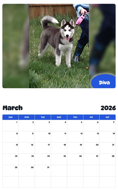 November 2025 - October 2026 Diva - Pawidols Pet Calendar