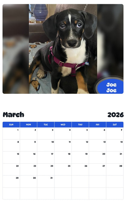November 2025 - October 2026 Joe Joe - Pawidols Pet Calendar
