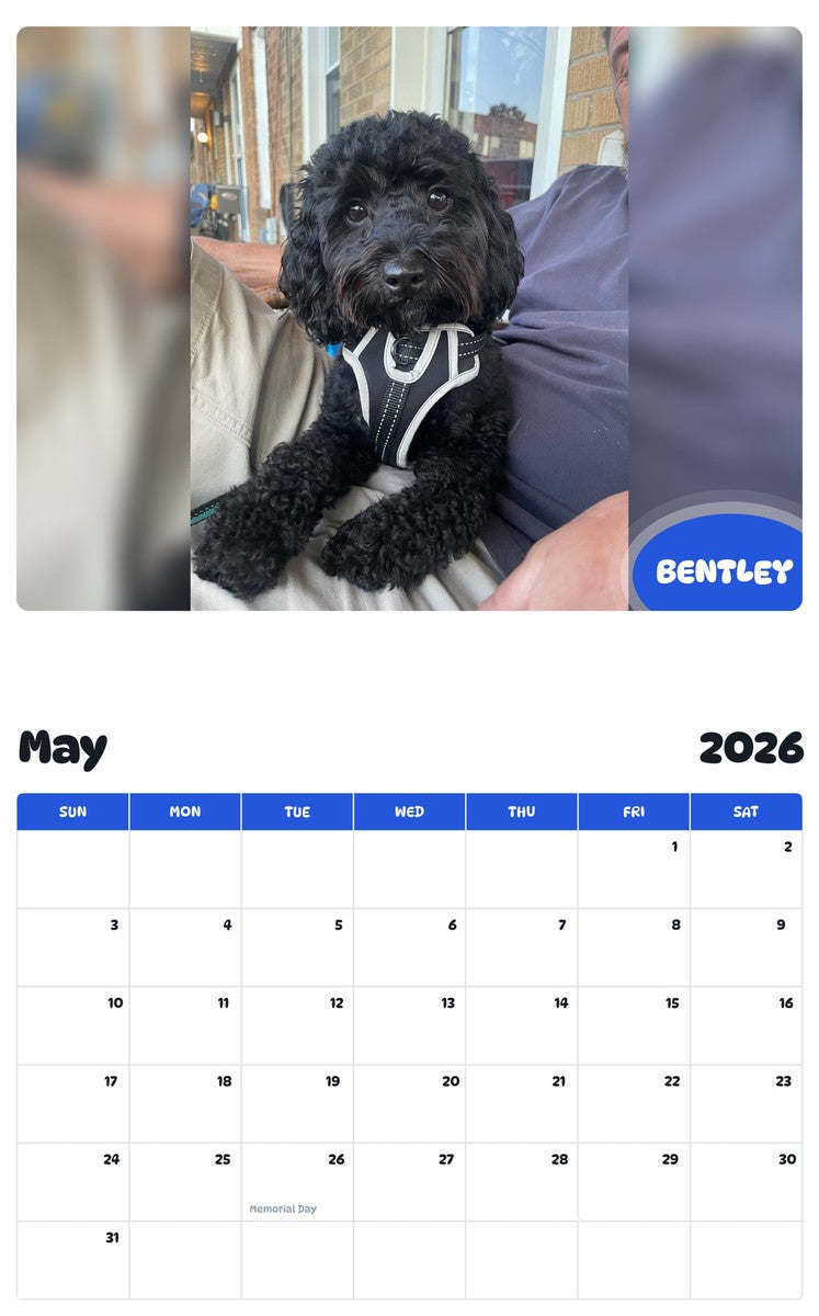 2026 - 2027 BENTLEY - Pawidols Pet Calendar