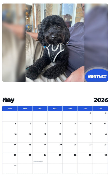 2026 - 2027 BENTLEY - Pawidols Pet Calendar