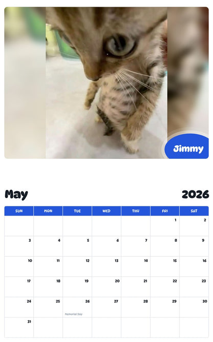 2026 - 2027 Jimmy - Pawidols Pet Calendar