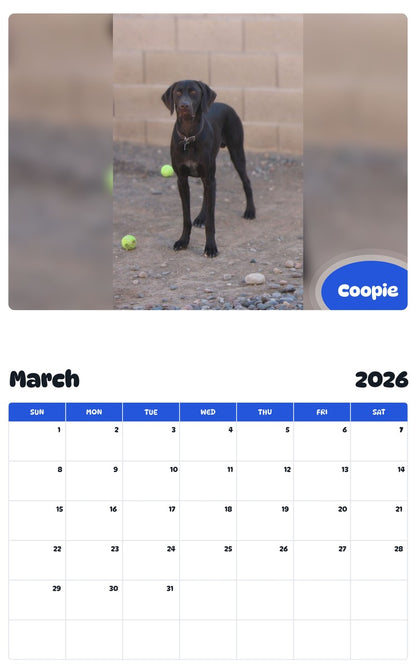 November 2025 - October 2026 Coopie - Pawidols Pet Calendar
