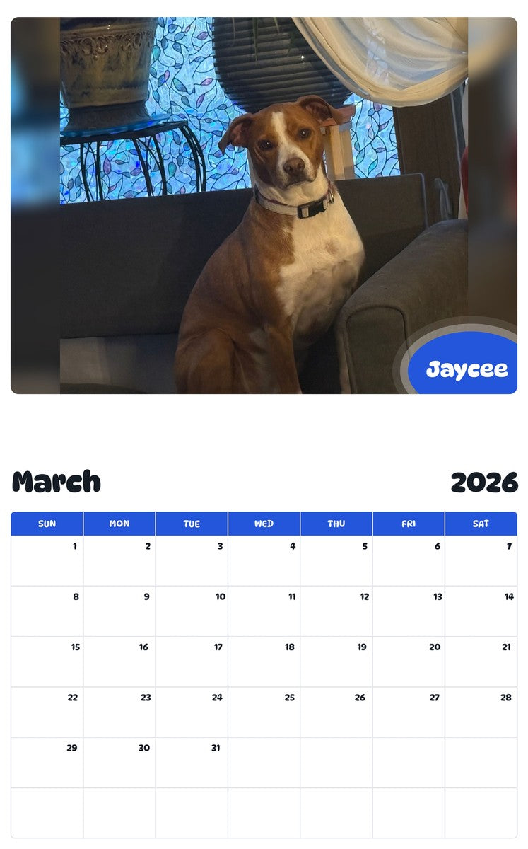 November 2025 - October 2026 Jaycee - Pawidols Pet Calendar