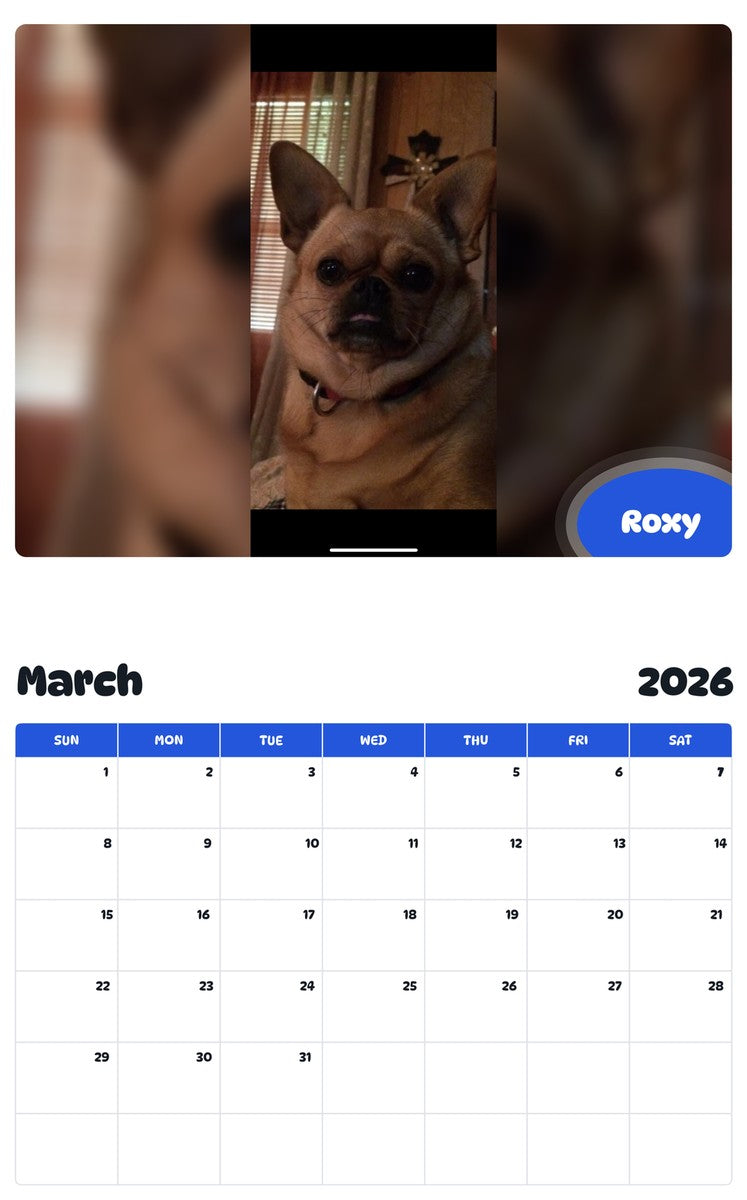 November 2025 - October 2026 Roxy - Pawidols Pet Calendar