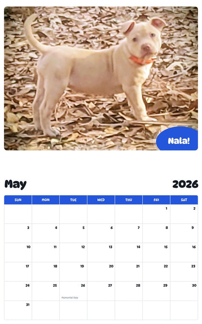 2026 - 2027 Nala! - Pawidols Pet Calendar