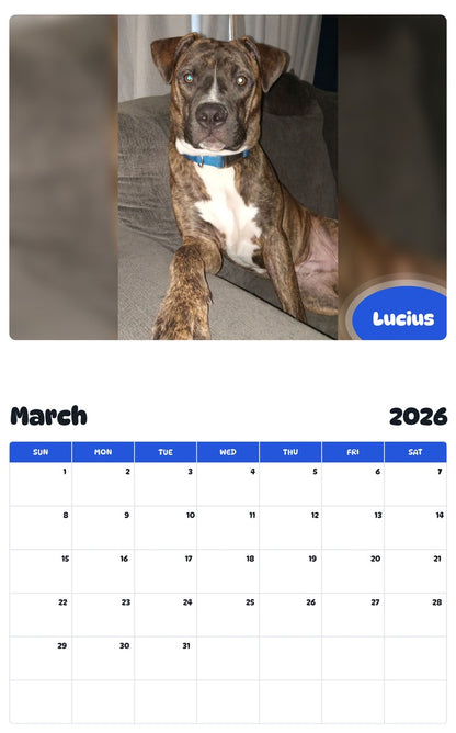 November 2025 - October 2026 Lucius - Pawidols Pet Calendar