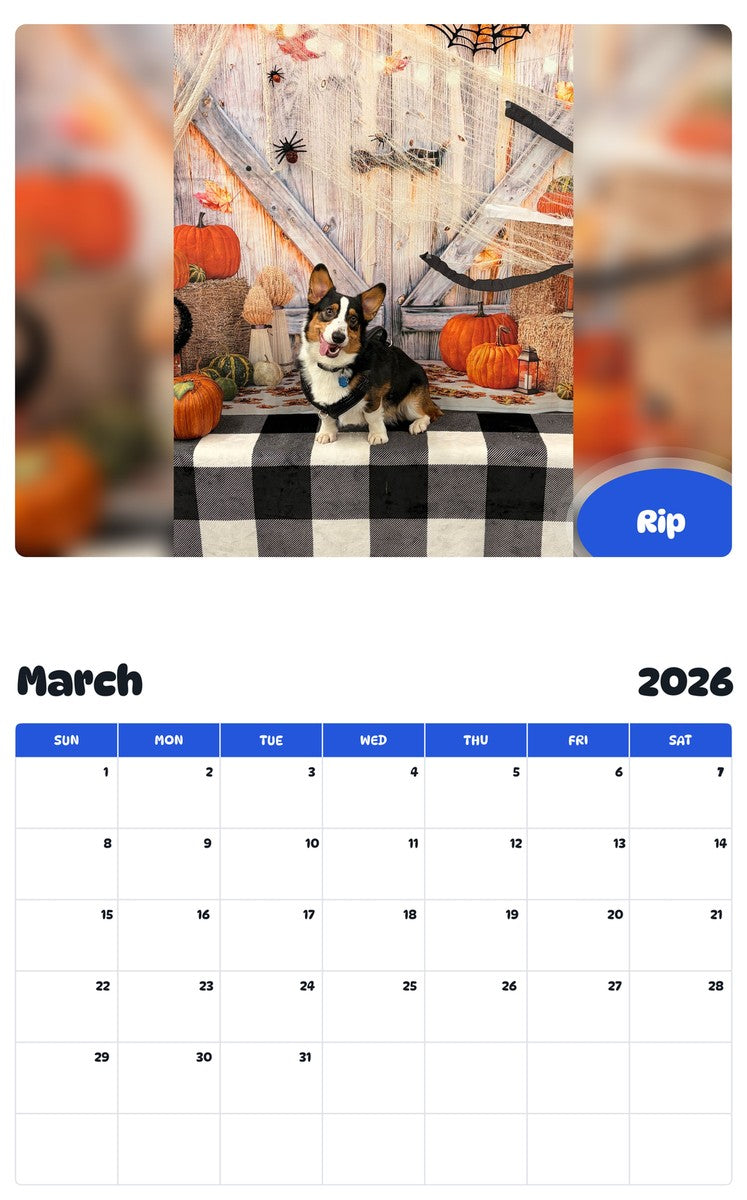 November 2025 - October 2026 Rip - Pawidols Pet Calendar