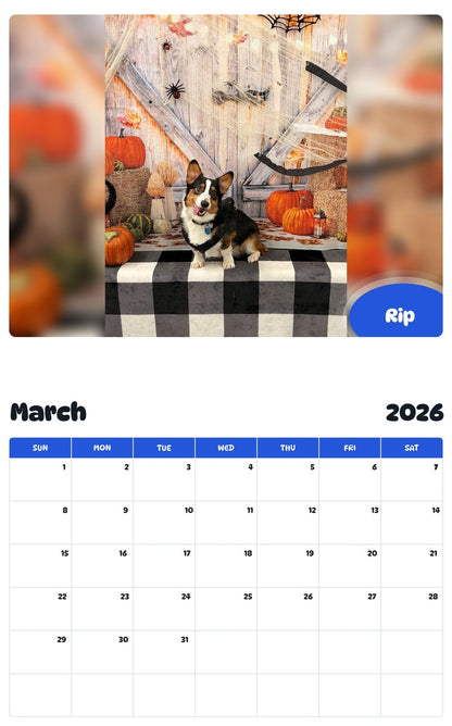 November 2025 - October 2026 Rip - Pawidols Pet Calendar