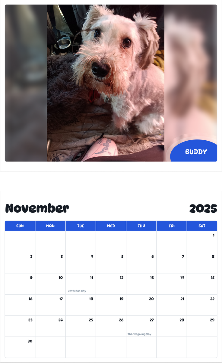 July 2025 - June 2026 Buddy - Pawidols Pet Calendar