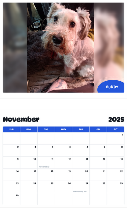 July 2025 - June 2026 Buddy - Pawidols Pet Calendar