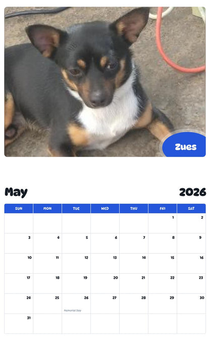 2026 - 2027 Zues - Pawidols Pet Calendar