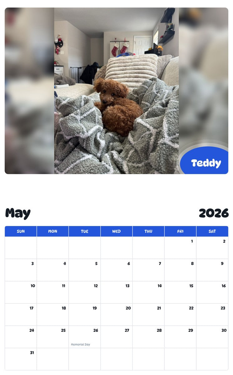 2026 - 2027 Teddy - Pawidols Pet Calendar