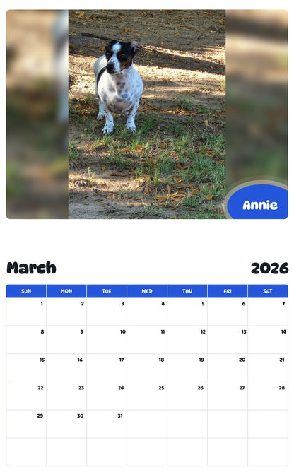November 2025 - October 2026 Annie - Pawidols Pet Calendar