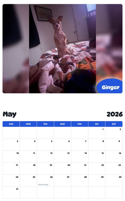 2026 - 2027 Ginger - Pawidols Pet Calendar