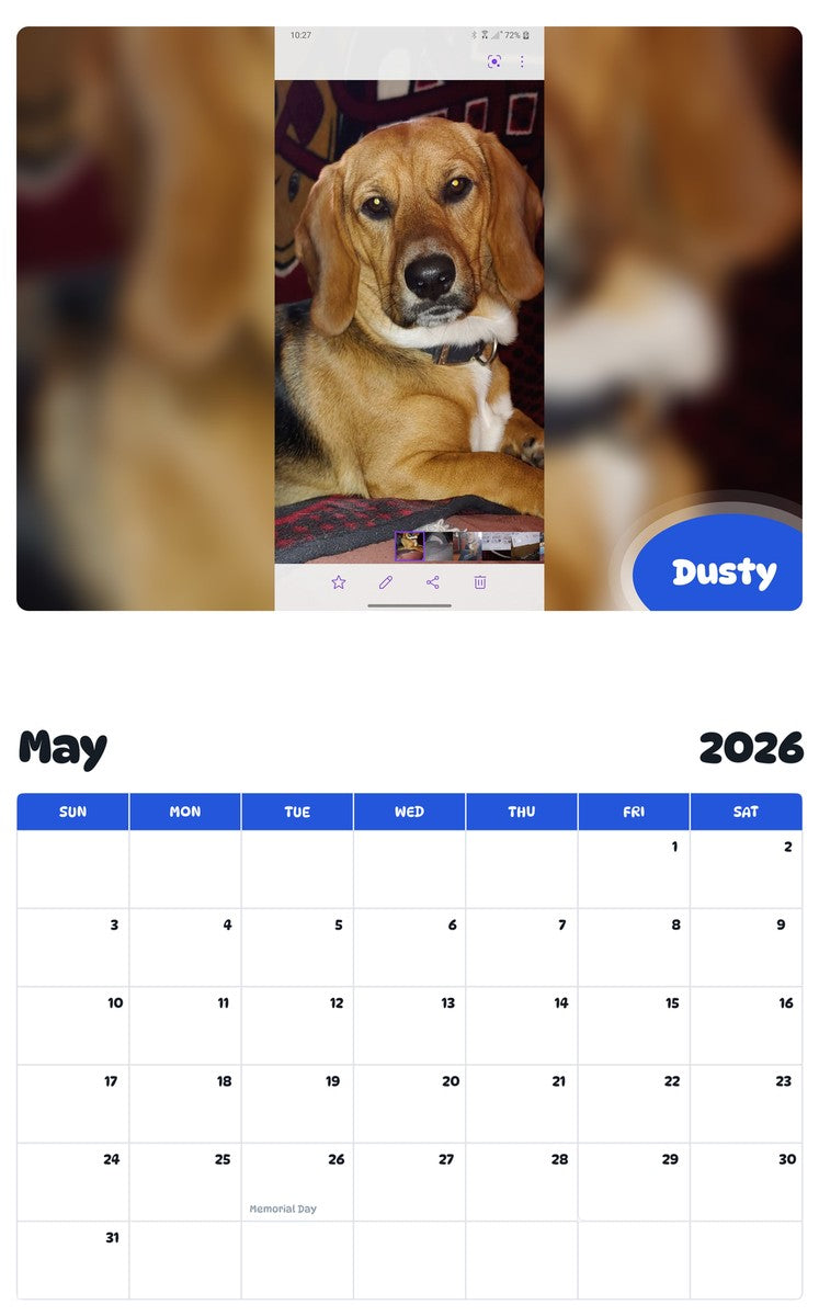 2026 - 2027 Dusty - Pawidols Pet Calendar