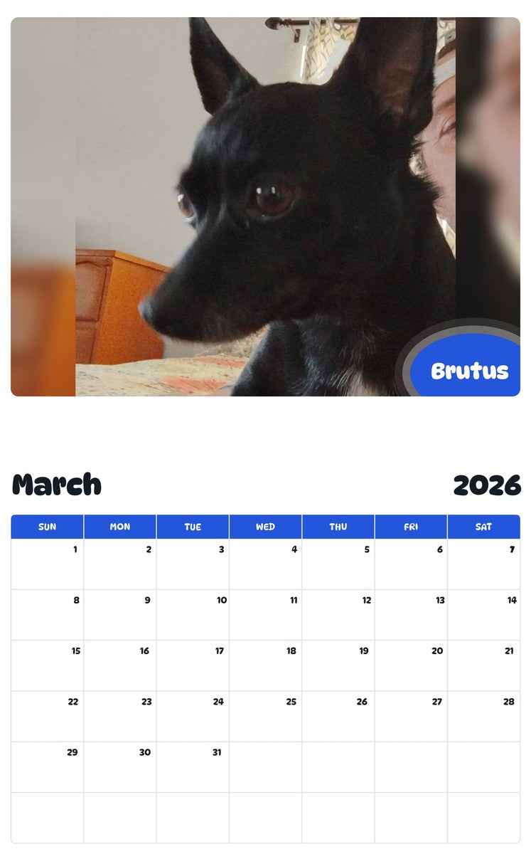 November 2025 - October 2026 Brutus - Pawidols Pet Calendar