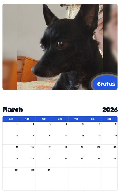 November 2025 - October 2026 Brutus - Pawidols Pet Calendar