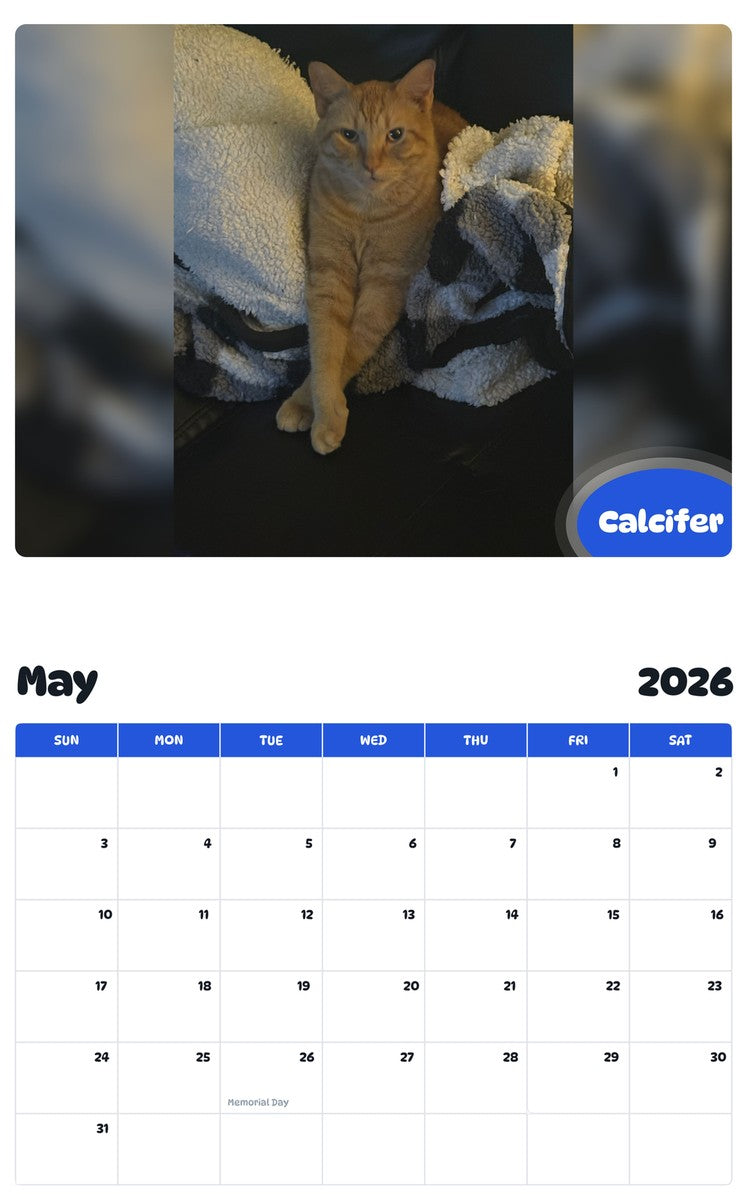 2026 - 2027 Calcifer - Pawidols Pet Calendar