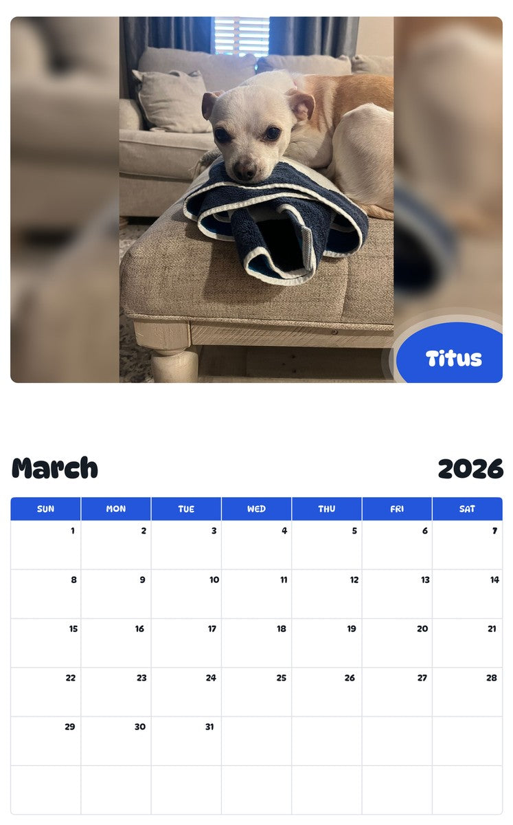 November 2025 - October 2026 Titus - Pawidols Pet Calendar