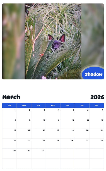 November 2025 - October 2026 Shadow - Pawidols Pet Calendar
