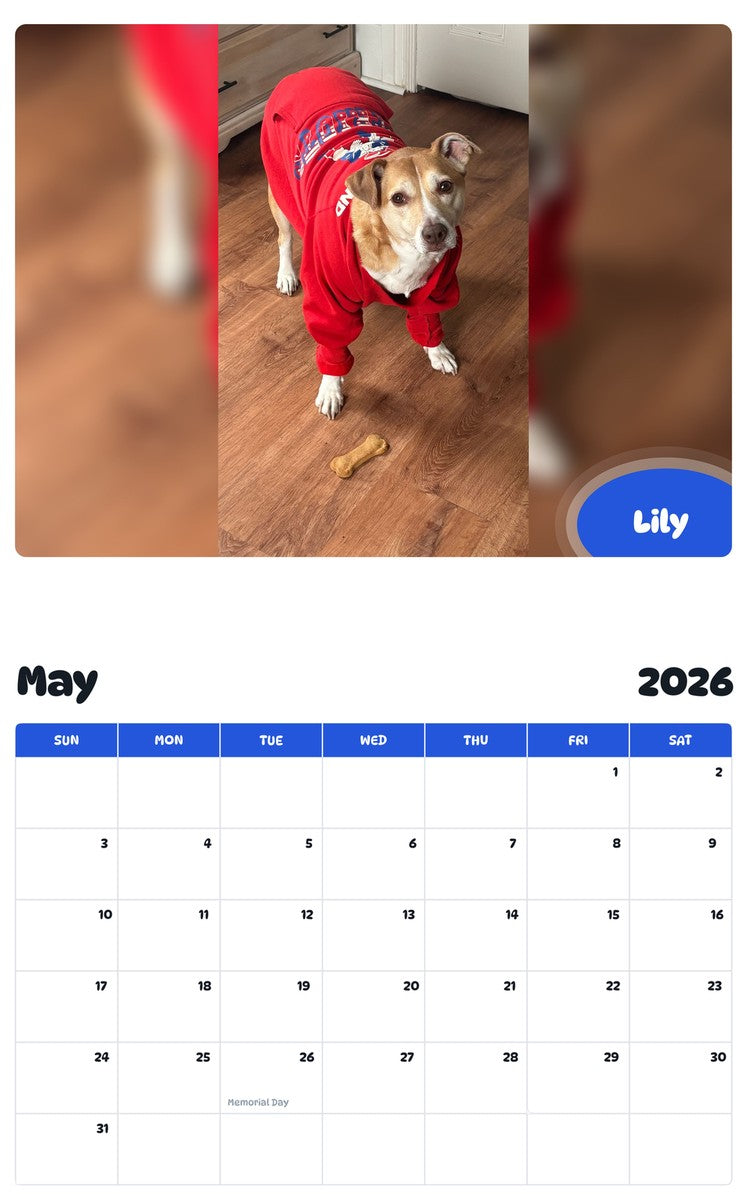 2026 - 2027 Lily - Pawidols Pet Calendar