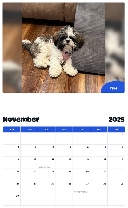 July 2025 - June 2026 Mia - Pawidols Pet Calendar