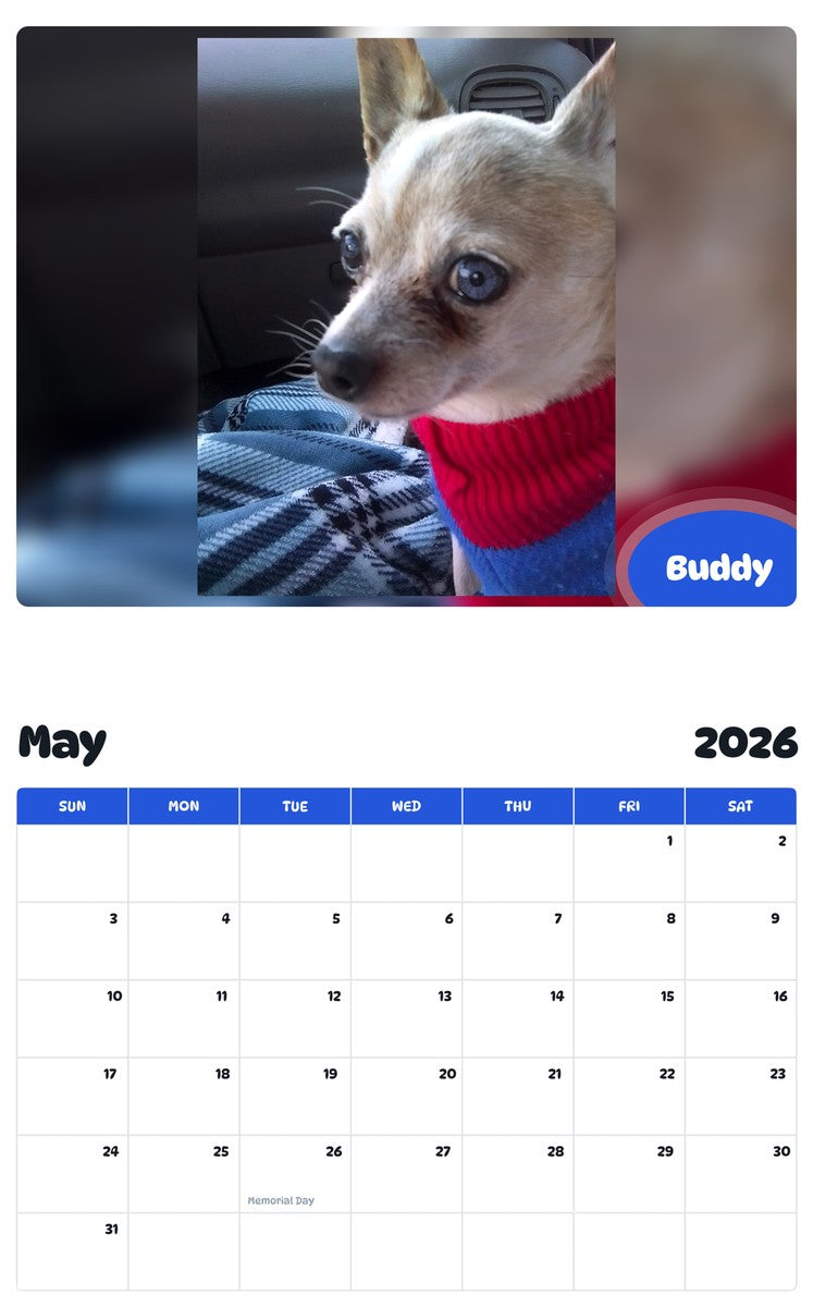 2026 - 2027 Buddy - Pawidols Pet Calendar