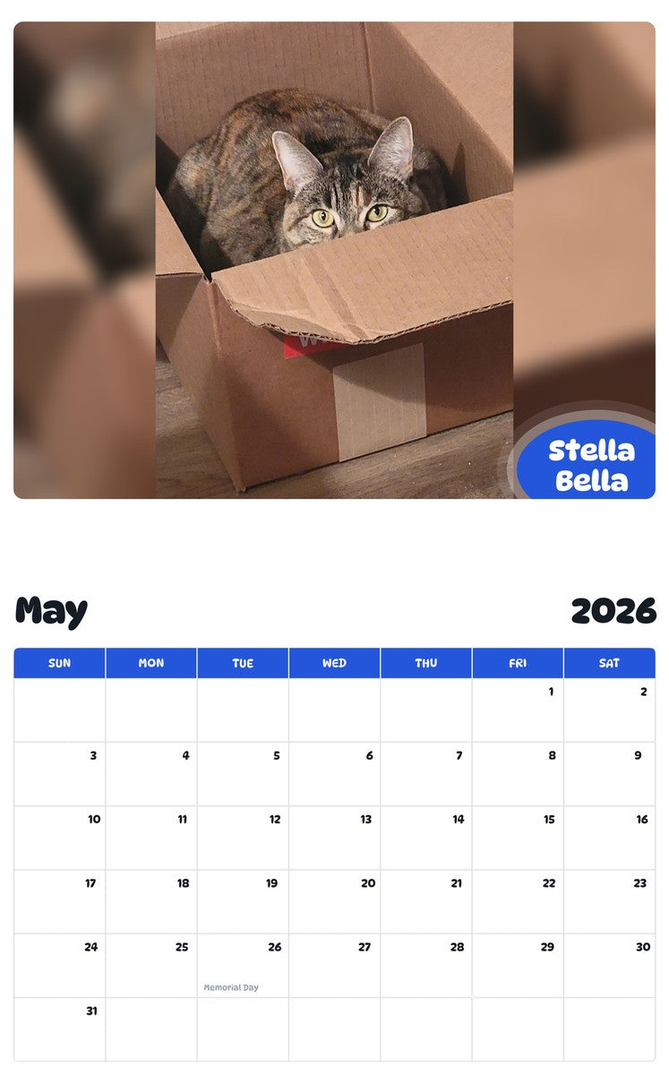 2026 - 2027 Stella Bella - Pawidols Pet Calendar