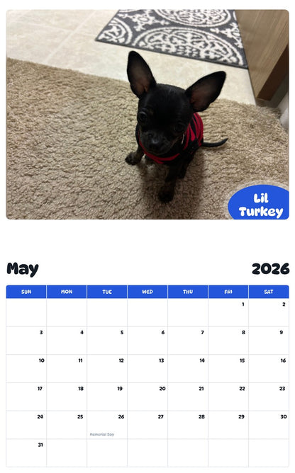 2026 - 2027 Lil Turkey - Pawidols Pet Calendar