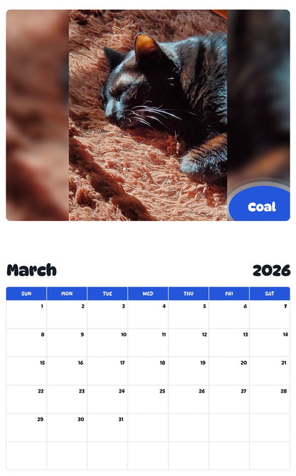 November 2025 - October 2026 Coal - Pawidols Pet Calendar