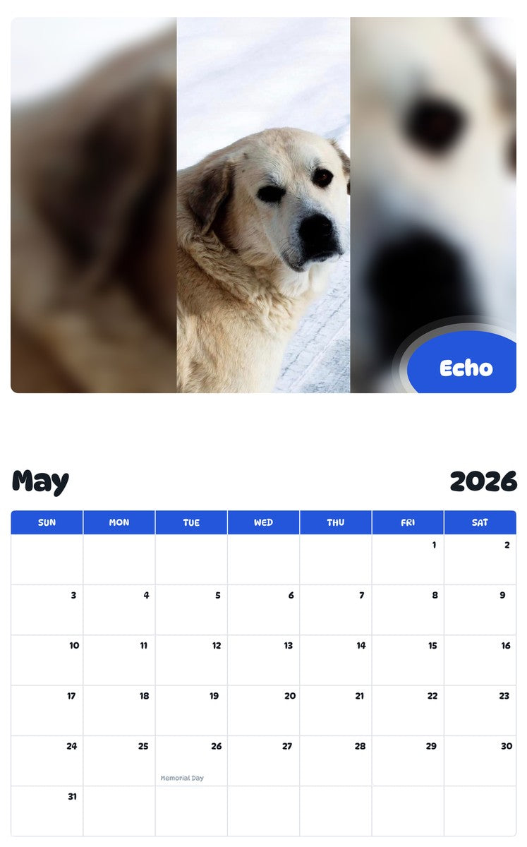 2026 - 2027 Echo - Pawidols Pet Calendar