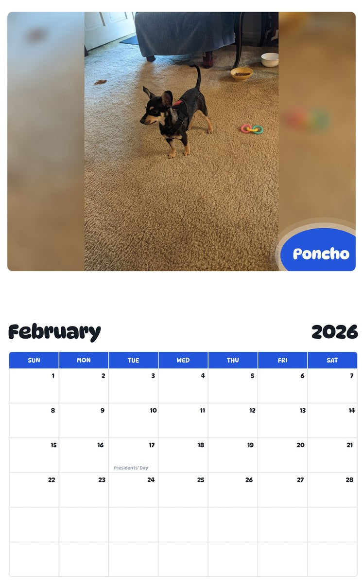 October 2025 - September 2026 Poncho - Pawidols Pet Calendar