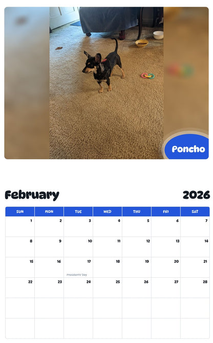 October 2025 - September 2026 Poncho - Pawidols Pet Calendar