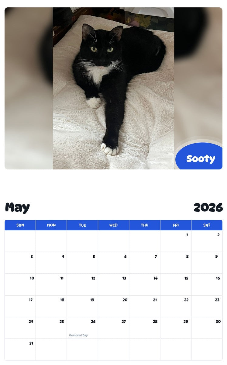 2026 - 2027 Sooty - Pawidols Pet Calendar