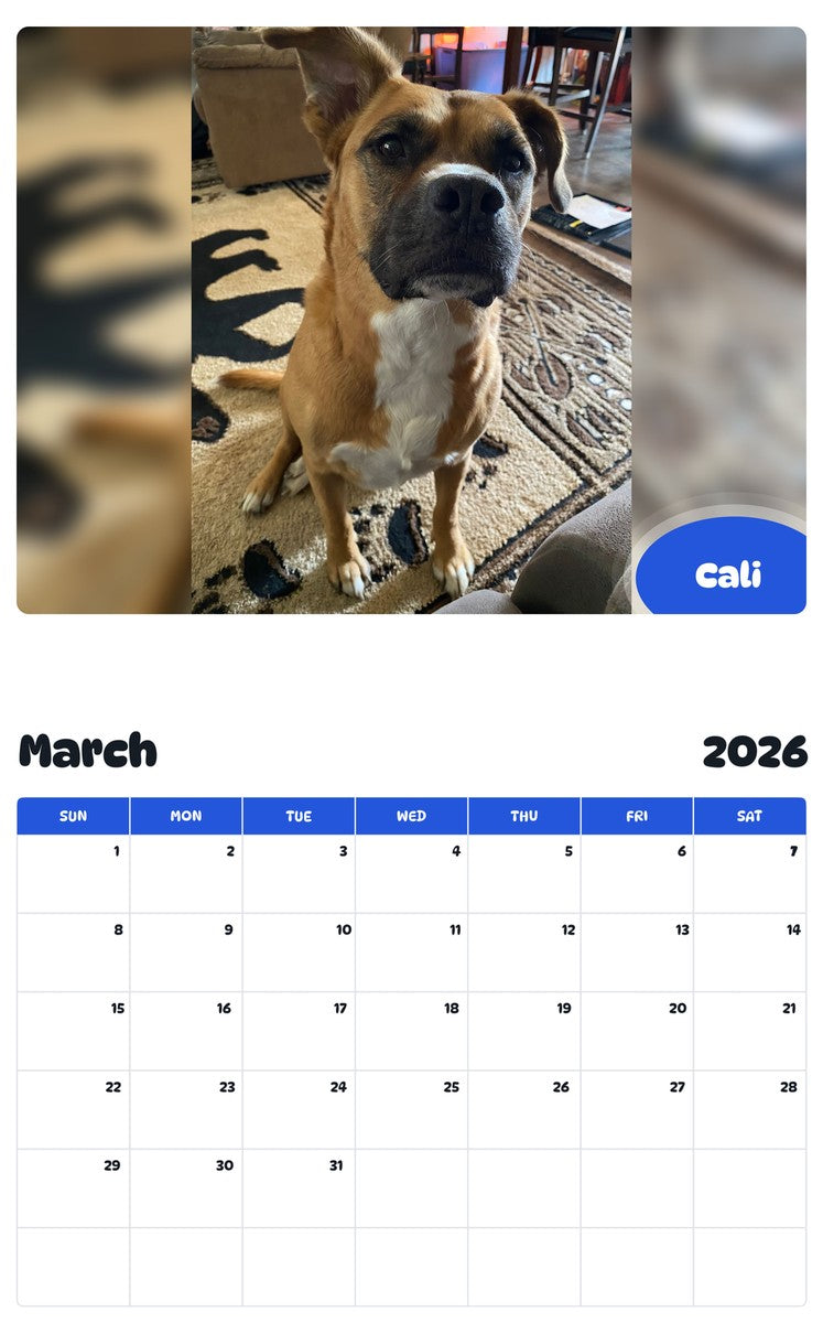 November 2025 - October 2026 Cali - Pawidols Pet Calendar