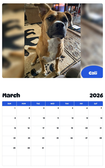 November 2025 - October 2026 Cali - Pawidols Pet Calendar